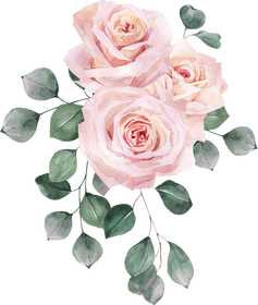 Watercolor Rose Flower Illustration